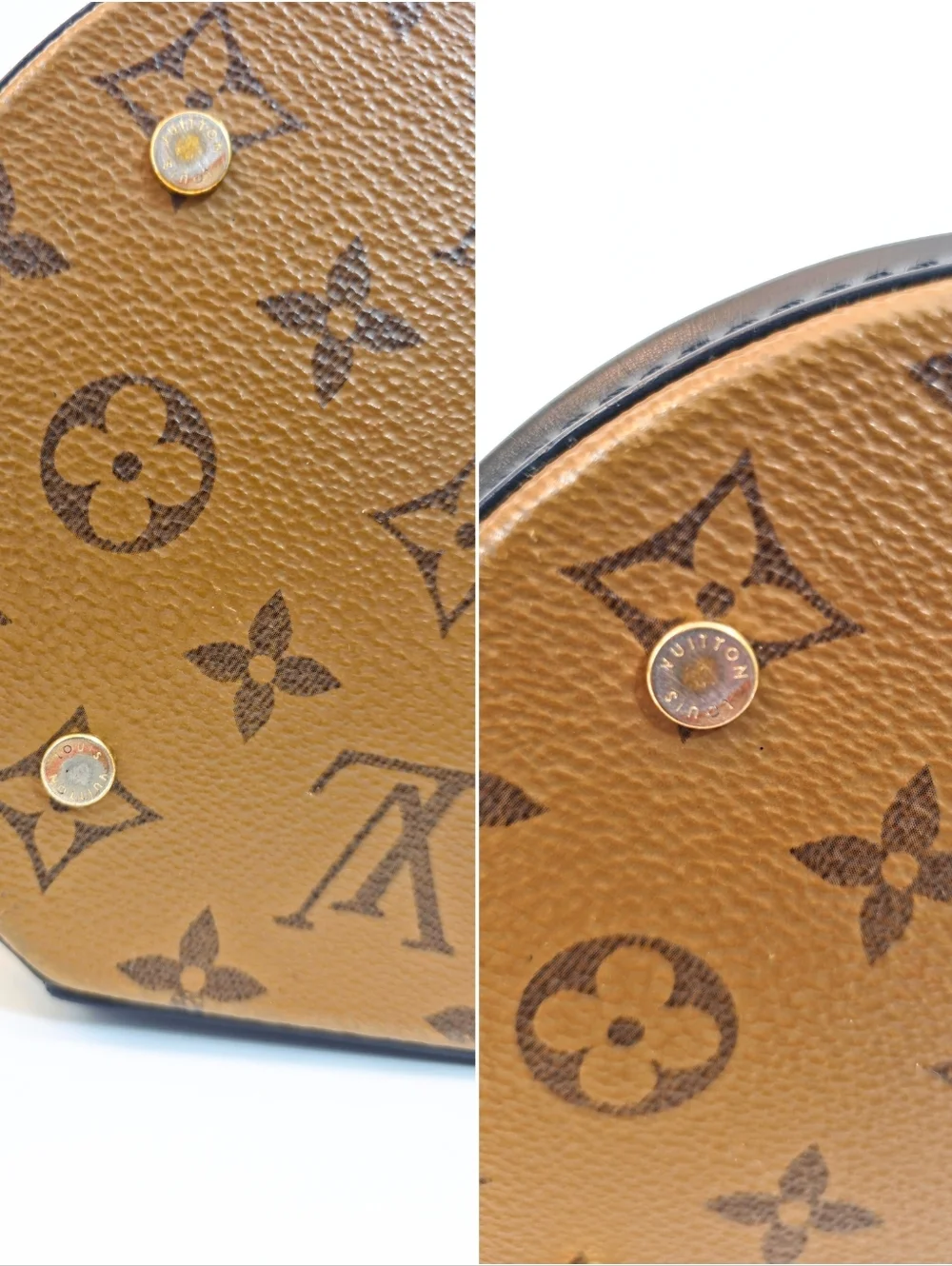 Louis Vuitton Cannes Reverse Monogram Canvas Vanity Crossbody Bag